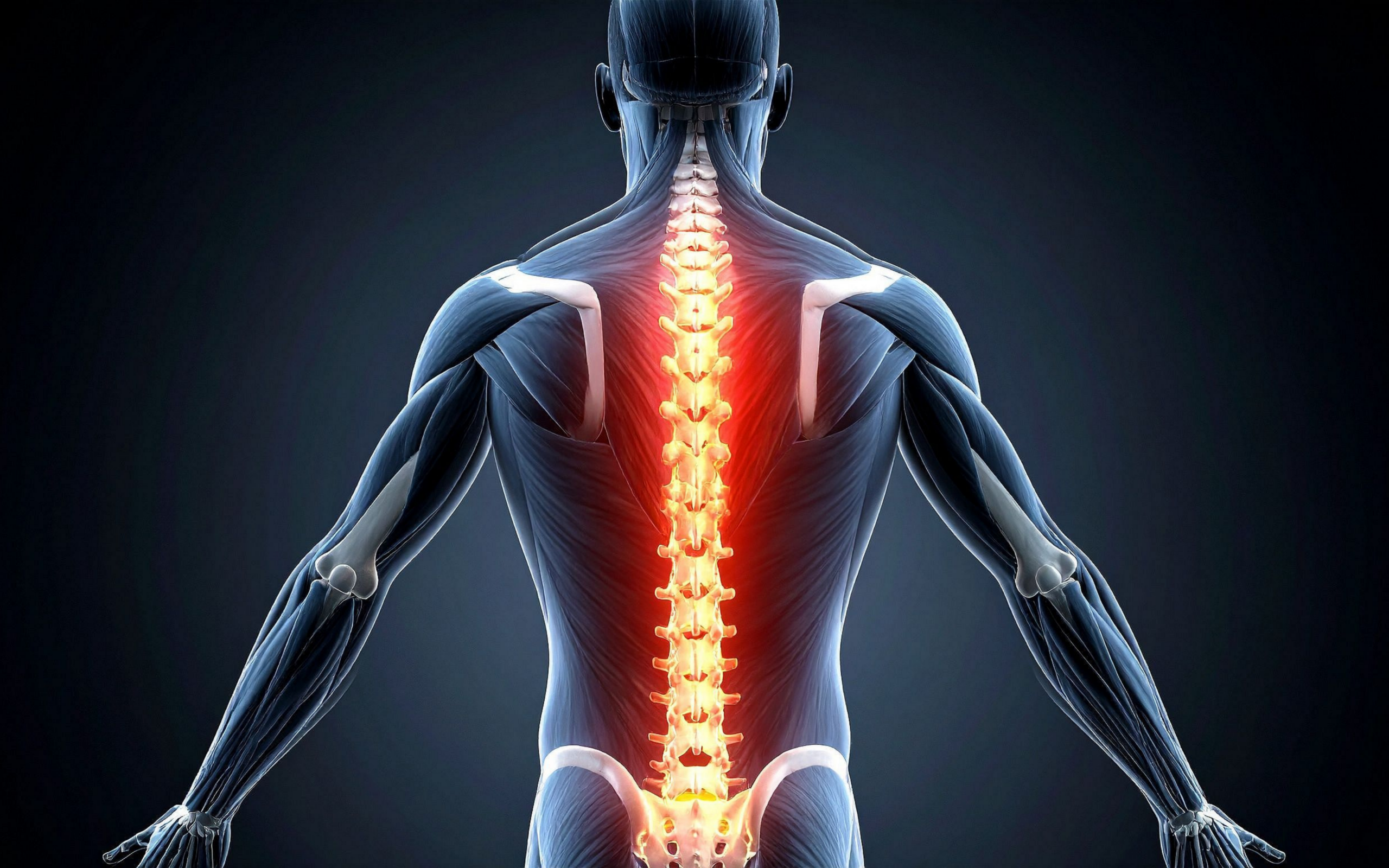 spinaltherapy scaled